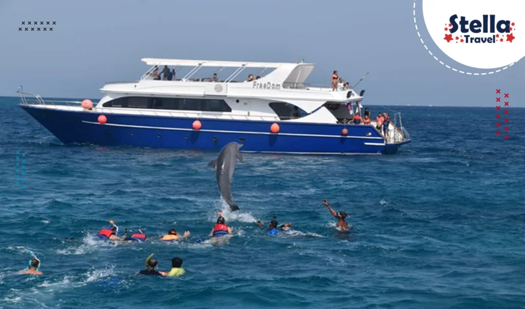 Dolphin House Hurghada Snorkeling Day Trip