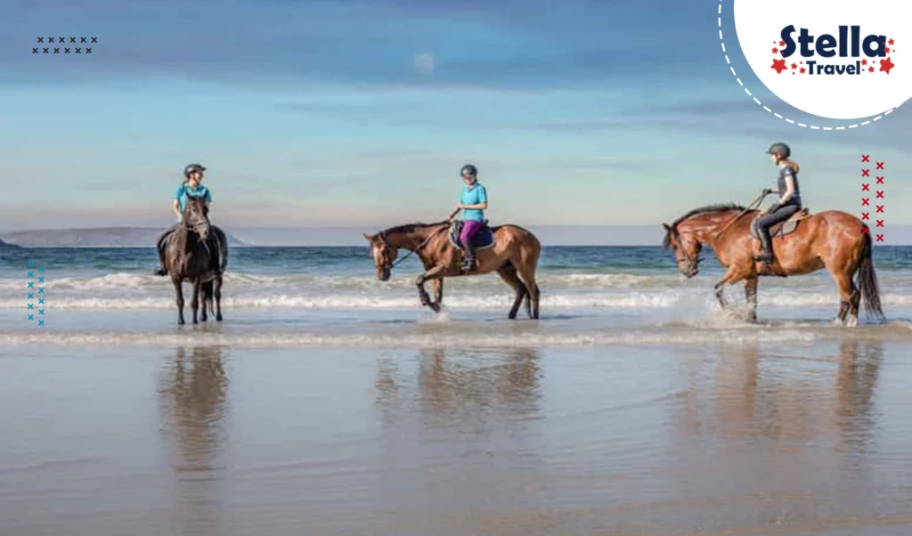 Horse Riding in Hurghada