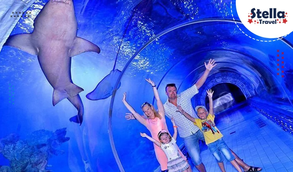 Hurghada Grand Aquarium