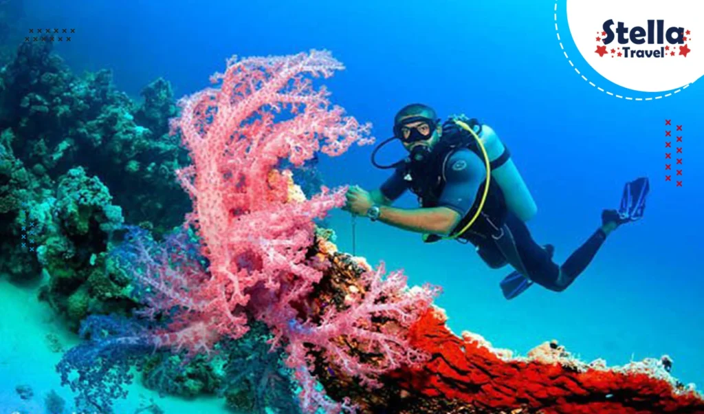 Scuba Diving in Hurghada - Explore the vibrant underwater world of the Red Sea