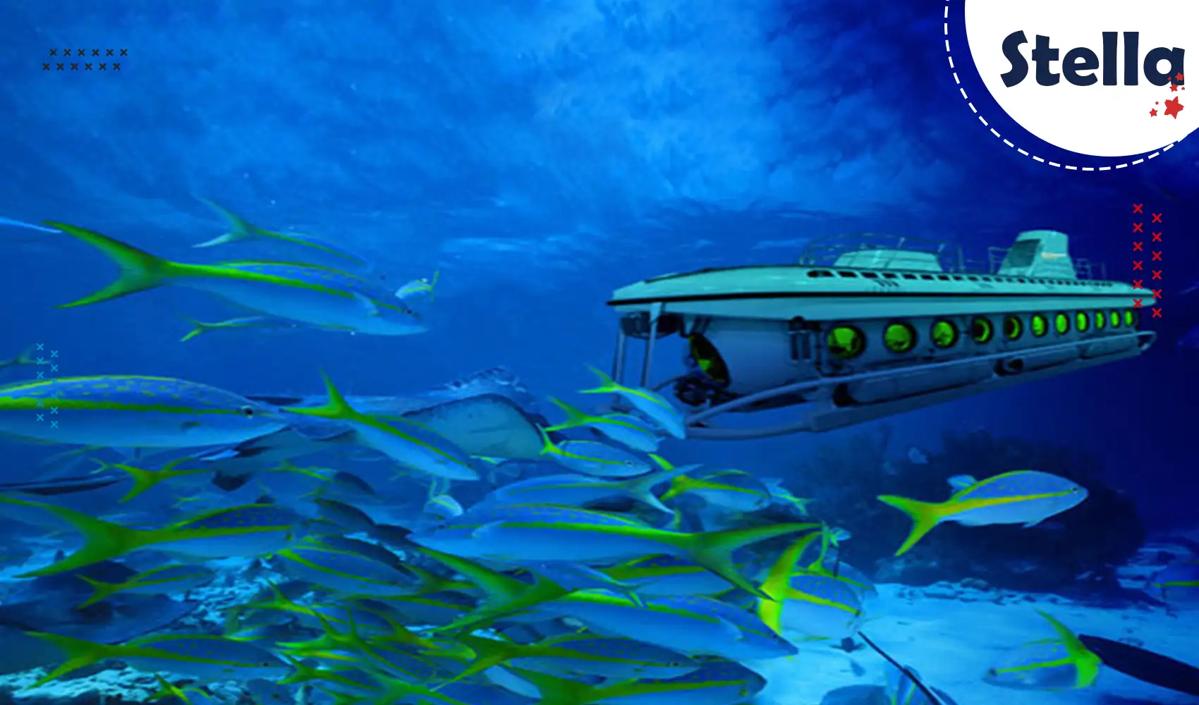 Dive 25 meters below sea level in the Sindbad Submarine – an underwater journey for all ages in the Red Sea.