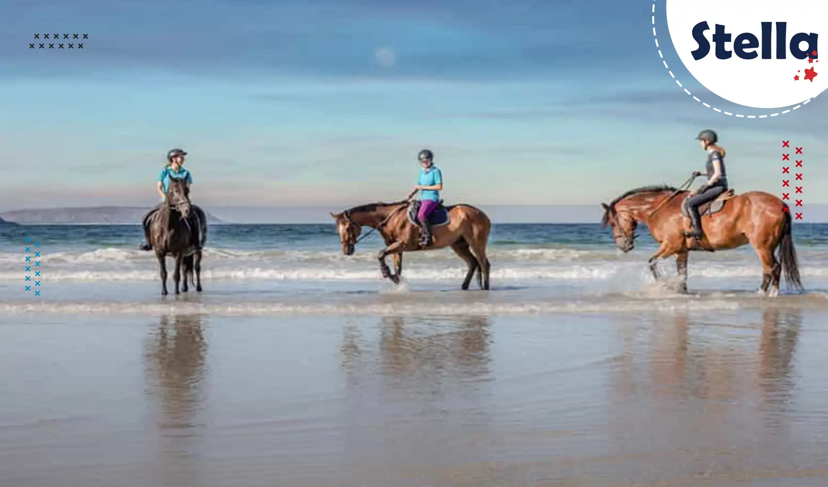 Horses walking along the Red Sea shore on a riding tour in Hurghada