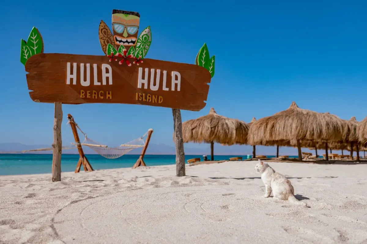 Bean bags and umbrellas on the white sand of Hula Hula beach