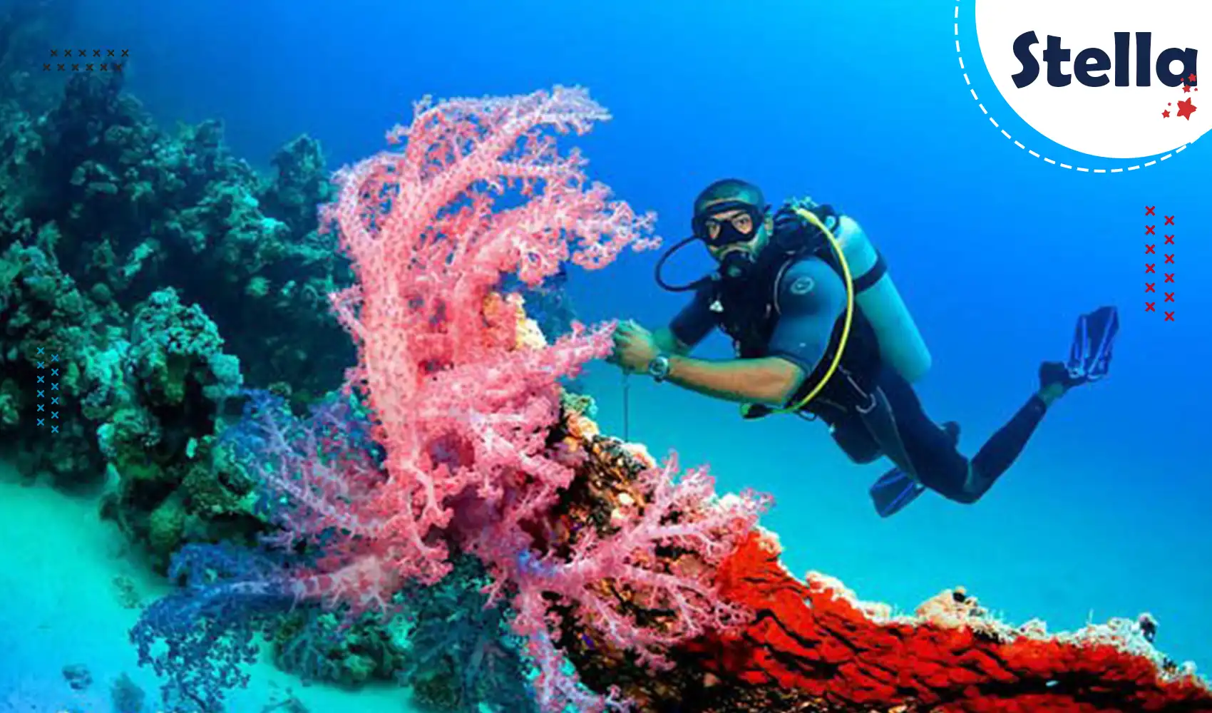 Diver exploring a coral reef on a scuba diving trip in Hurghada