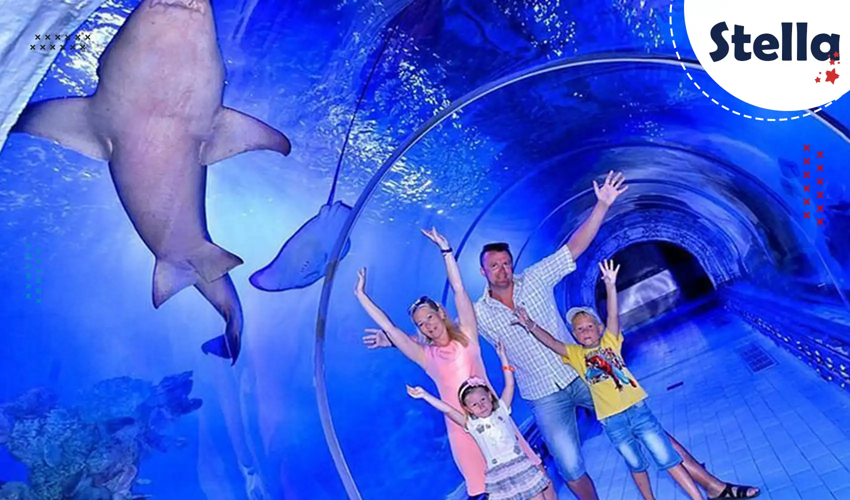 Glass tunnel with sharks and rays at the Hurghada Grand Aquarium
