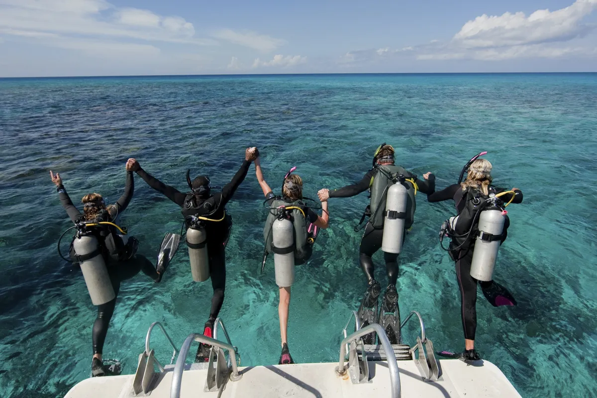 A diver beside a Red Sea coral wall during a guided dive
