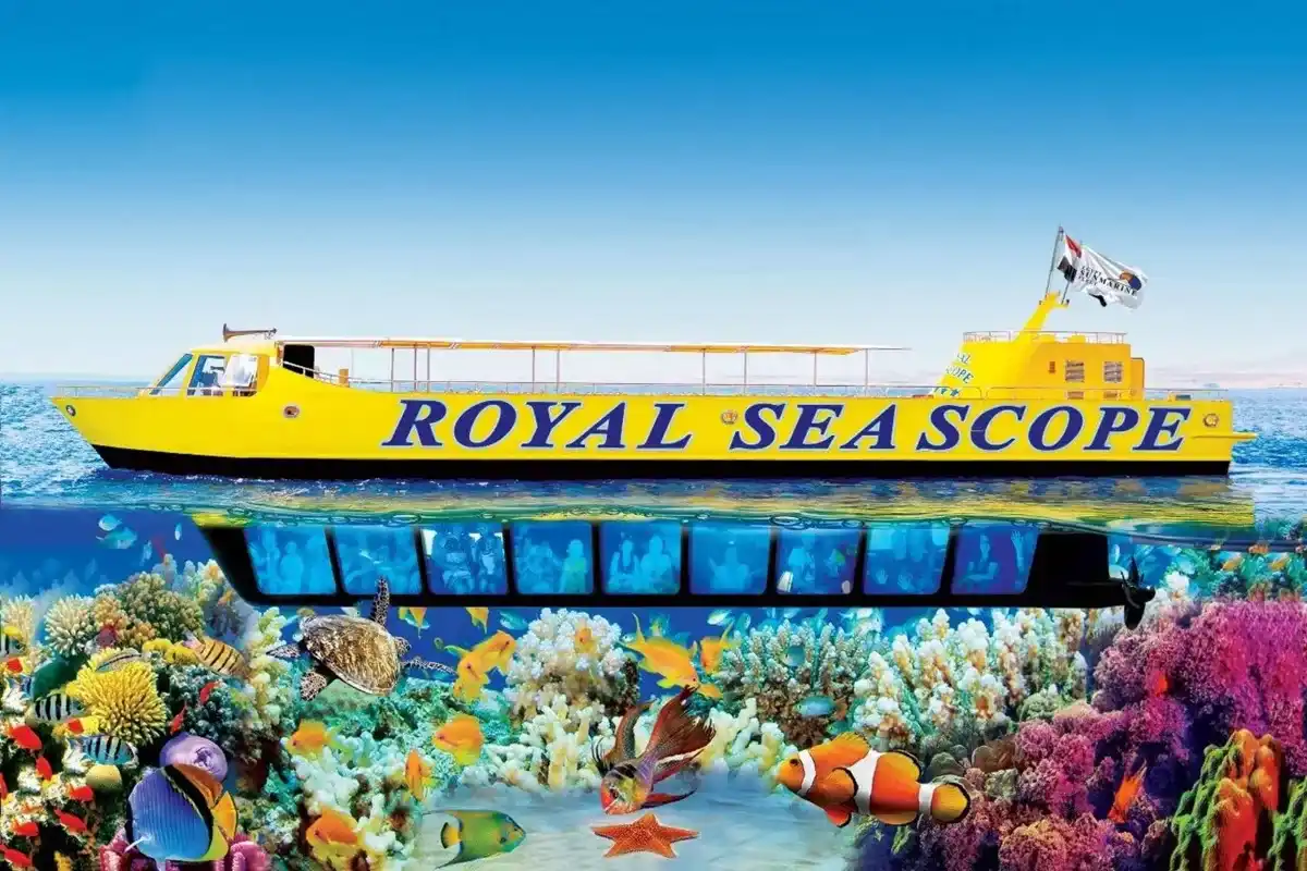 Coral reef and tropical fish seen through a Royal Sea Scope window