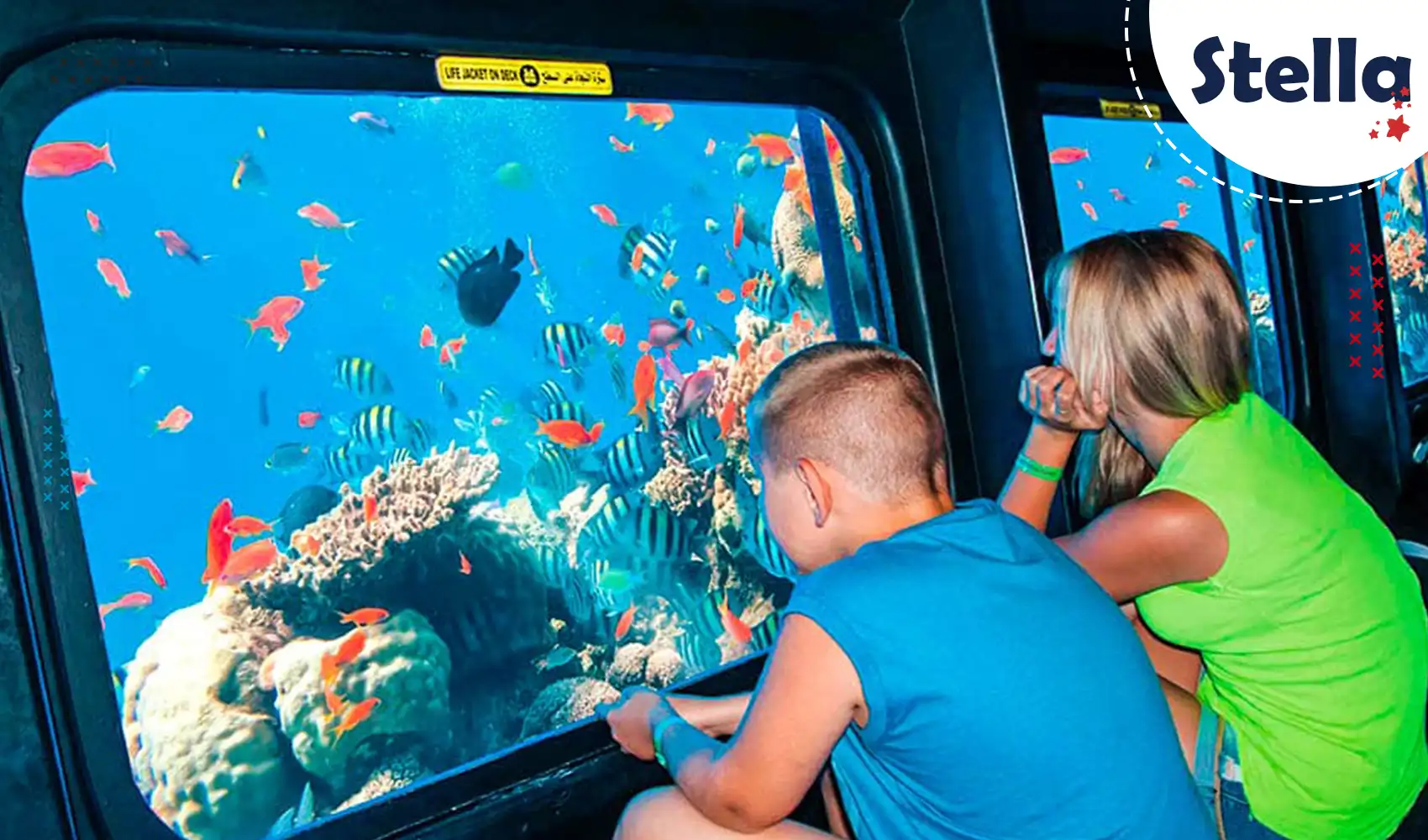 Passengers looking at coral reef through the windows of a semi-submarine in Hurghada